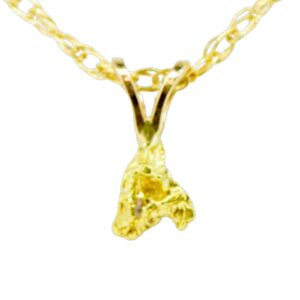 .3 DWT Alaskan Gold Nugget Pendant, Alaska Mint