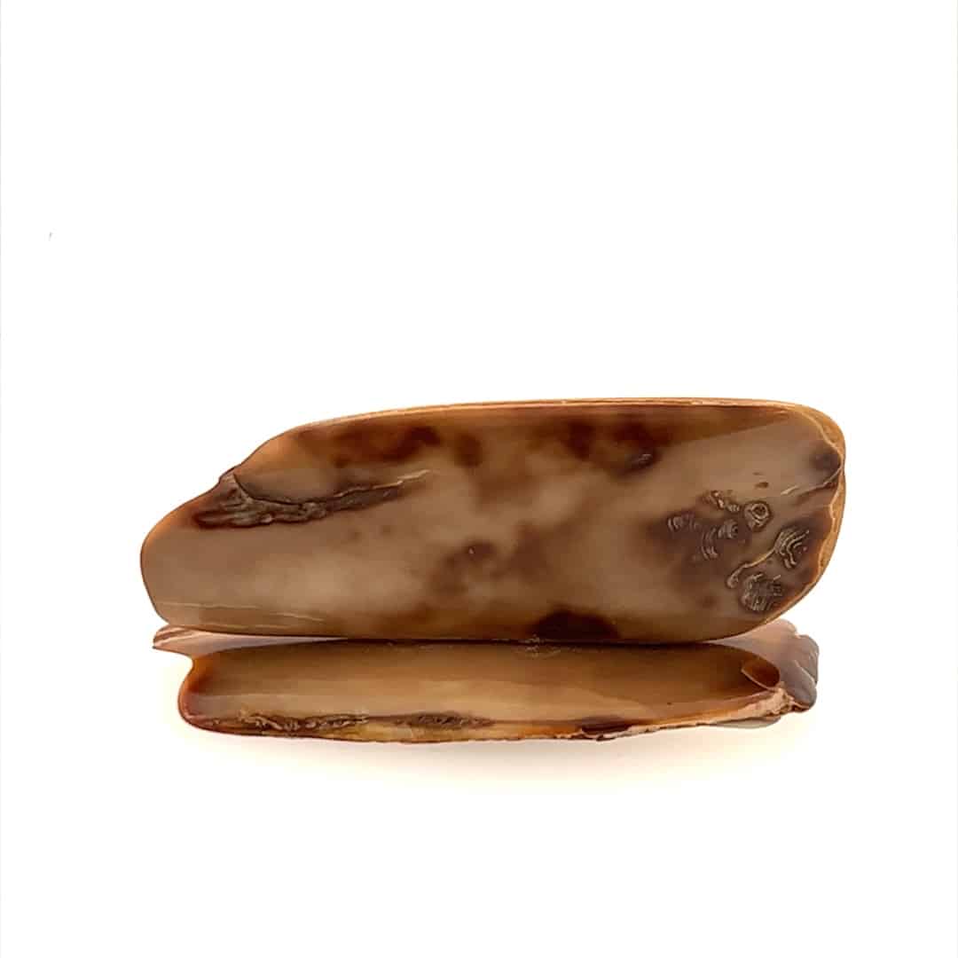 Fossil Ivory with Bald Eagle Scrimshaw Artwork - Image 2