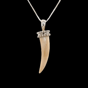 Ivory Bear Claw Pendant