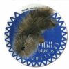 1968 Official Fur Rondy Collector Pin - Rondy Value Listing $451.00