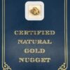 2.9 Gram Natural Gold Nugget from Trapper Creek, Alaska