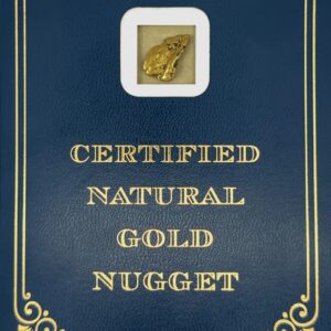 3.1 Gram Natural Gold Nugget from Trapper Creek Alaska, Alaska Mint
