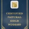 3.3 Gram Natural Gold Nugget, Alaska Mint