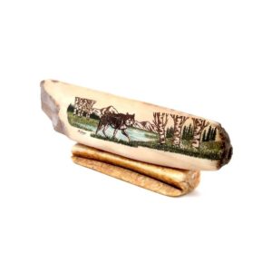 Walking Wolf Scrimshaw Artwork Fossil Ivory, Alaska Mint