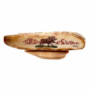 Lone Moose Scrimshaw Artwork Fossil Ivory, Alaska Mint