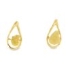 Gold Nugget Stud Earrings, Alaska Mint