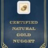 3.0 Gram Natural Gold Nugget from Chicken, Alaska