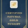 1.9 Gram Natural Gold Nugget from Chicken, Alaska, Alaska Mint