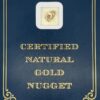 2.0 Gram Natural Gold Nugget from Eagle, Alaska, Alaska Mint