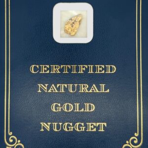 2.7 Gram Natural Gold Nugget from Moose Creek Alaska, Alaska Mint