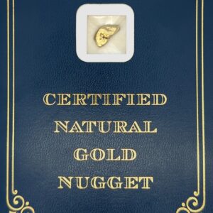 3.2 Gram Natural Gold Nugget from Chicken Alaska, Alaska Mint