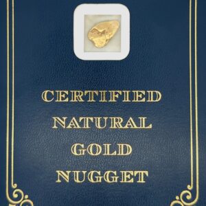 4.0 Gram Natural Gold Nugget from Chicken Alaska, Alaska Mint