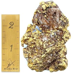 281.8 Gram Natural Gold Nugget from McGrath, Alaska