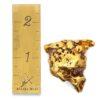 126.8 Gram Natural Gold Nugget from Alaska