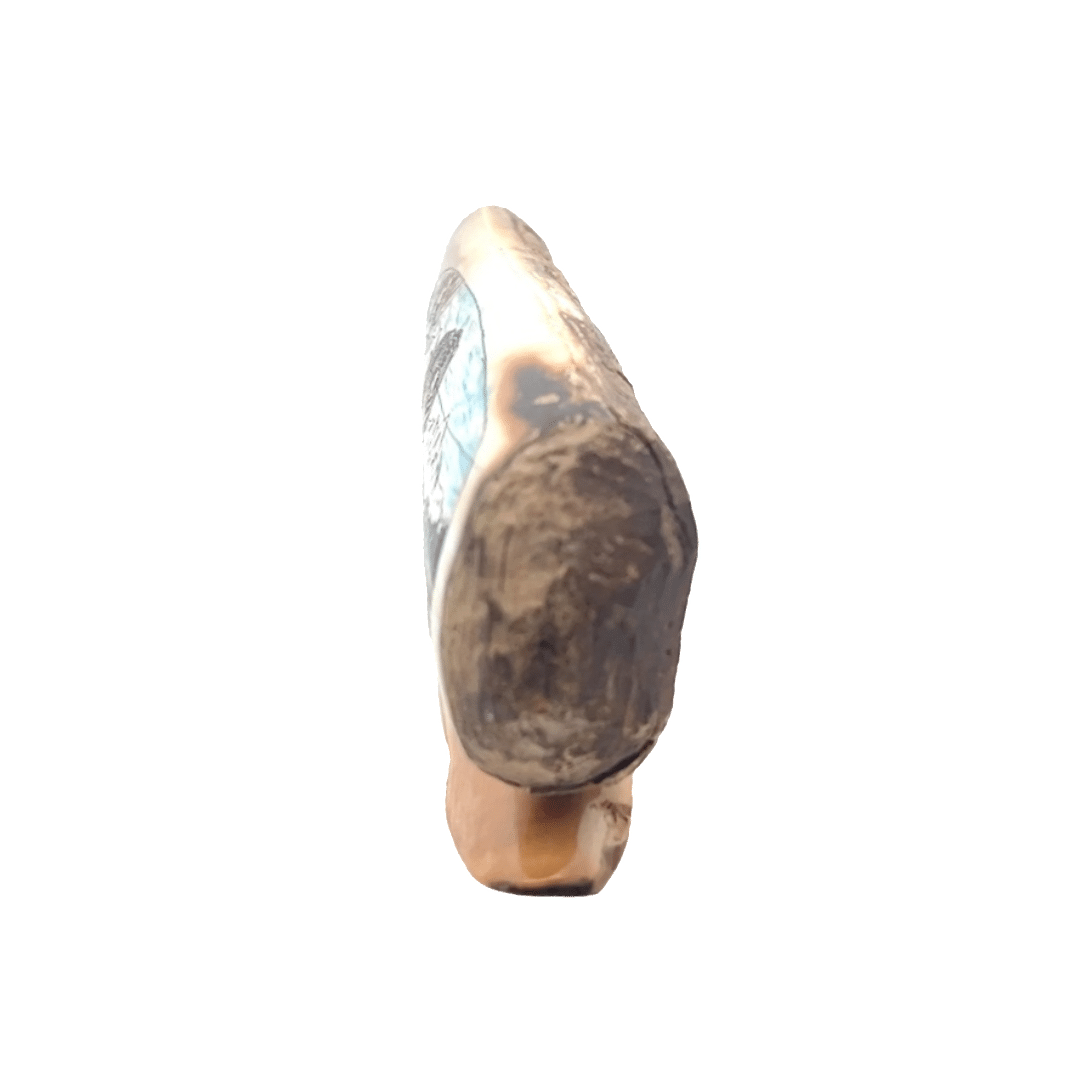 Fossil Ivory with Brown Bear Scrimshaw Artwork - Image 2