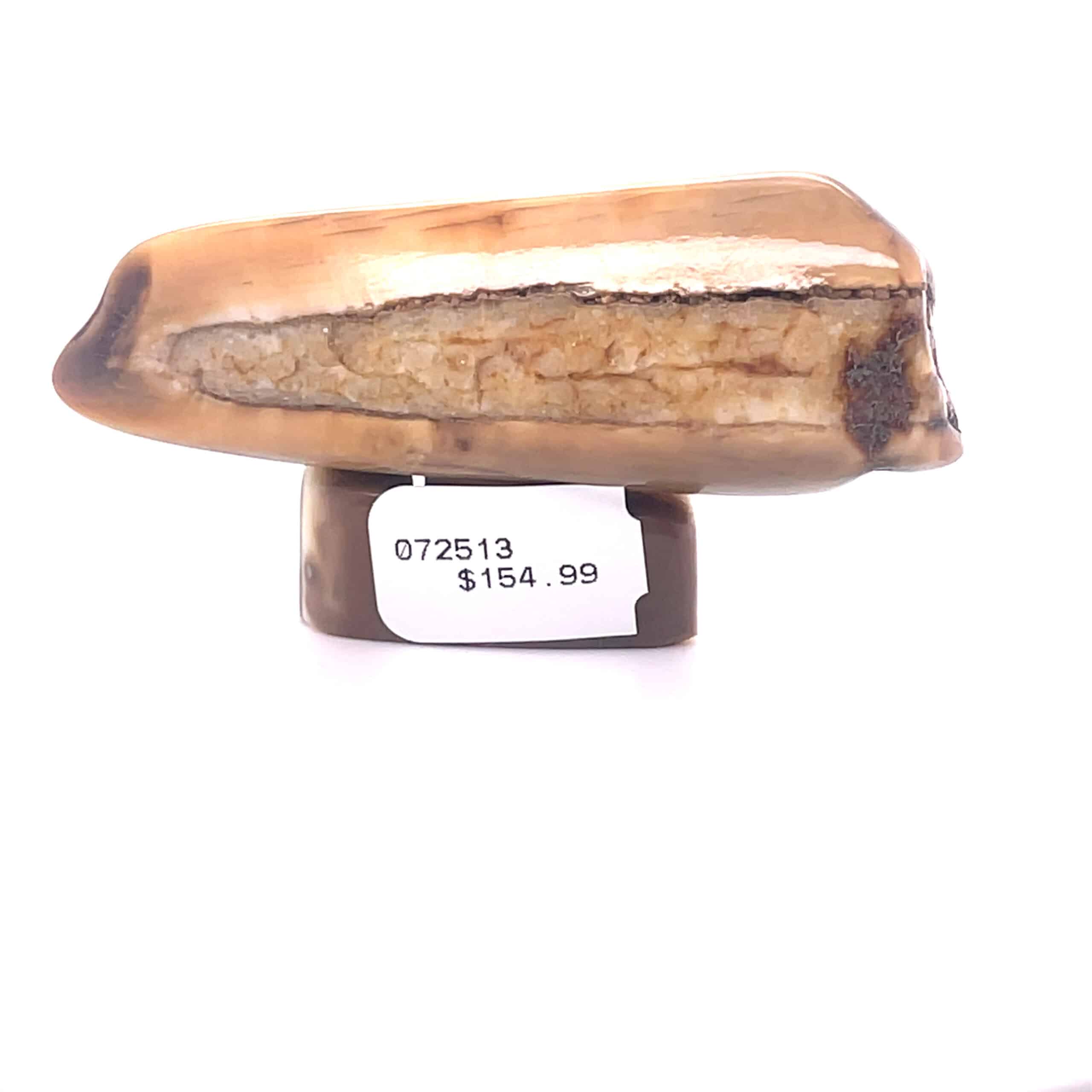 Fossil Ivory with Eagle Head Scrimshaw Artwork - Image 2
