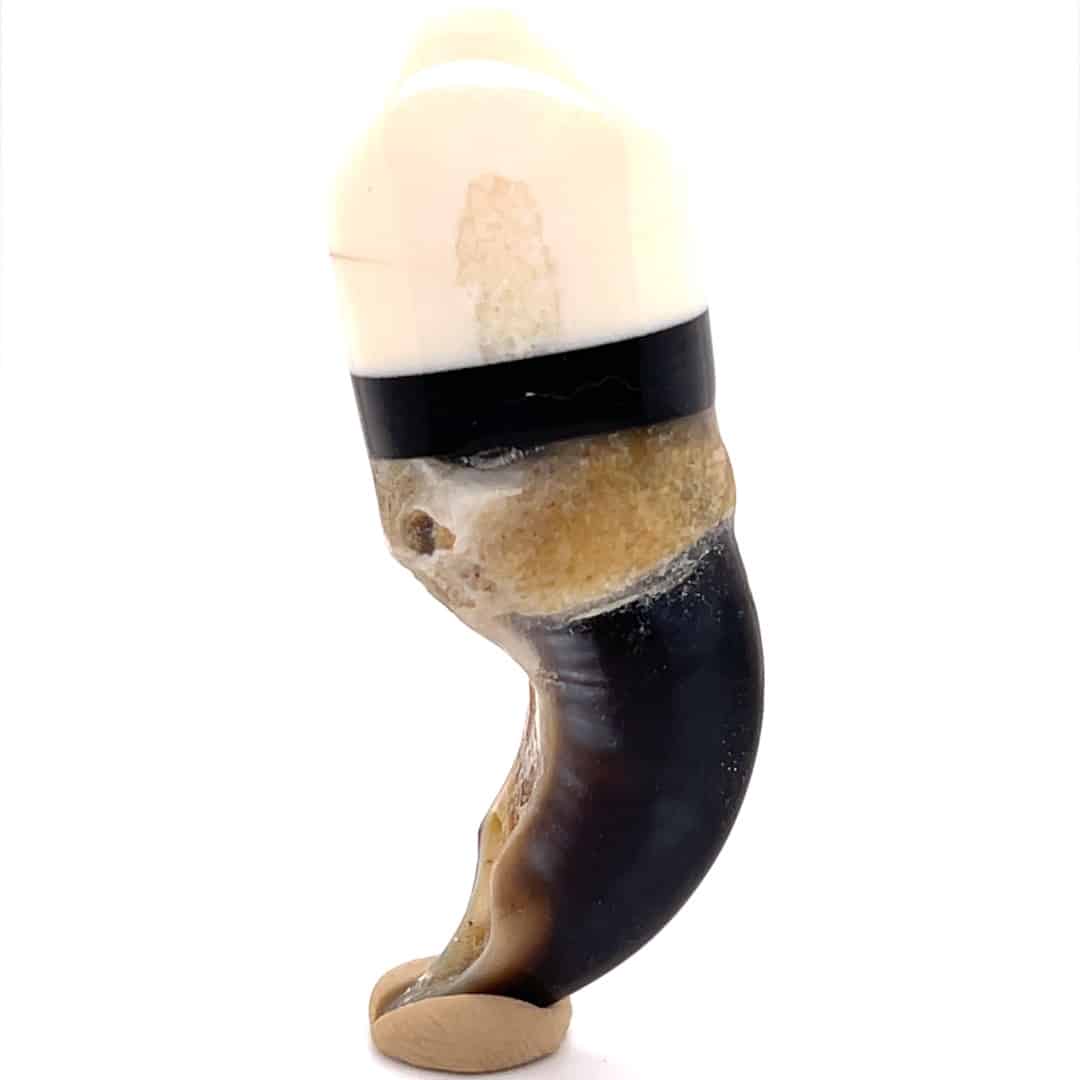 Polar Bear Claw with Baleen and Ivory Cap - Image 7