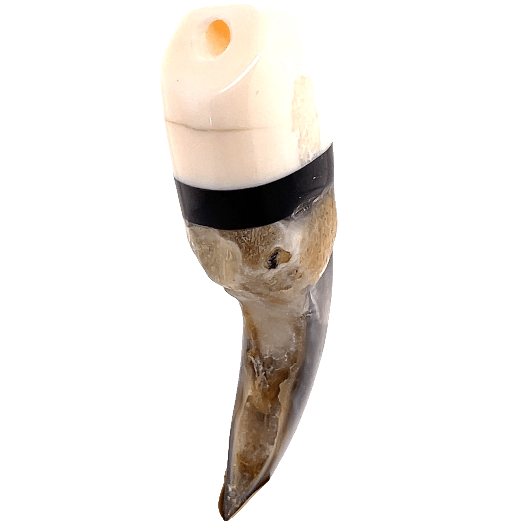 Polar Bear Claw with Baleen and Ivory Cap - Image 5