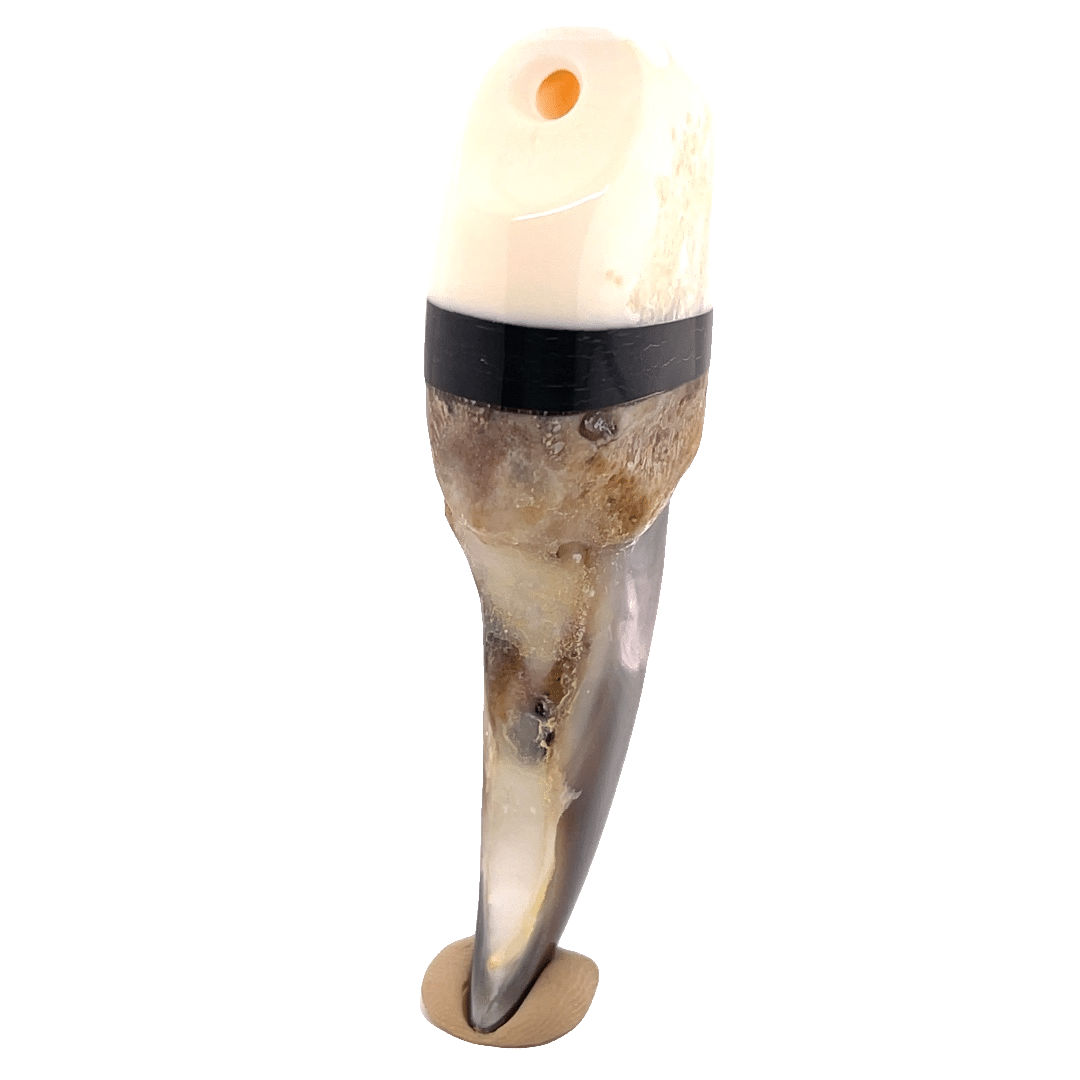 Polar Bear Claw with Baleen and Ivory Cap - Image 2