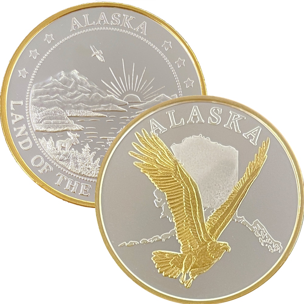 Eagle & Map Medallion - Image 3