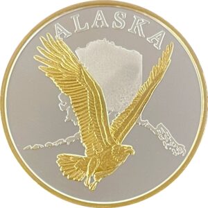 Eagle & Map Medallion