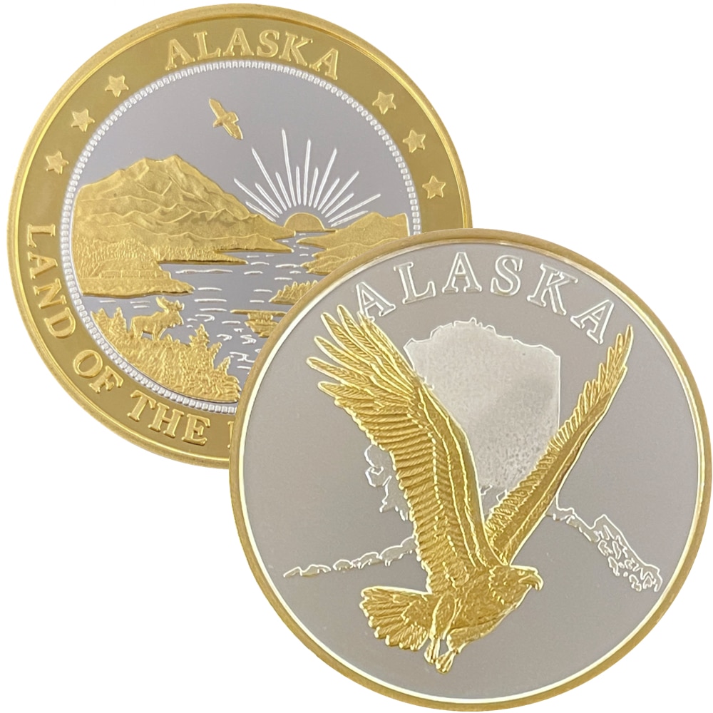 Eagle & Map Medallion - Image 2