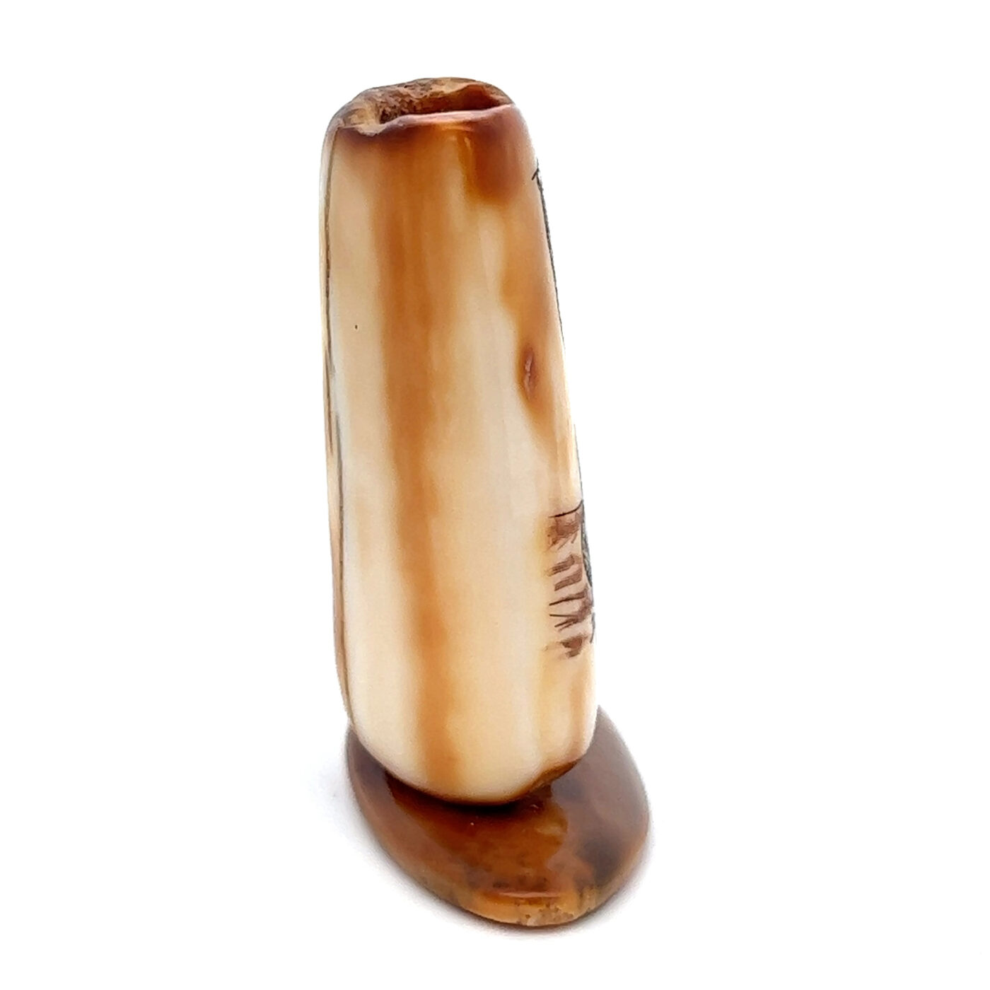 Scrimshaw Otter Fossilized Ivory, Alaska Mint