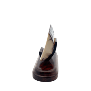 Fossilized Ivory Anchored Ship, Alaska Mint