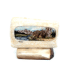 Scrimshaw Bear Artwork Fossilized Ivory, Alaska Mint