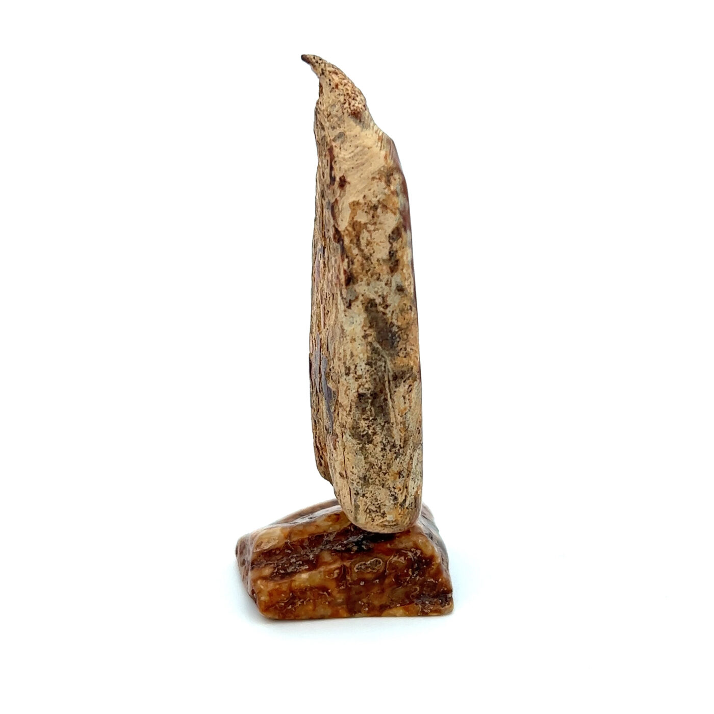 Fireweed Flowers Scrimshaw Fossil Ivory, Alaska Mint