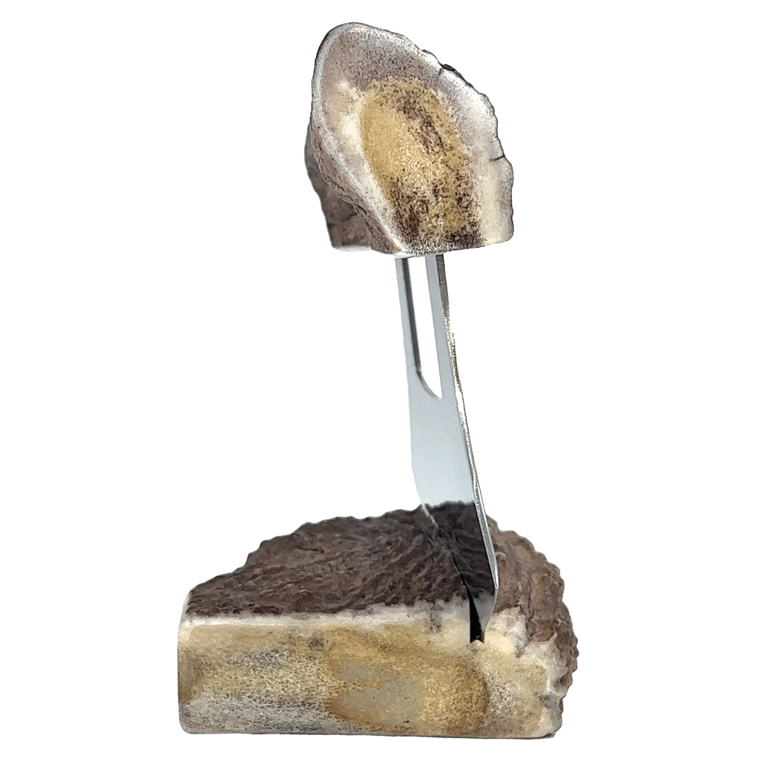 Moose Antler Ulu Knife, Alaska Mint