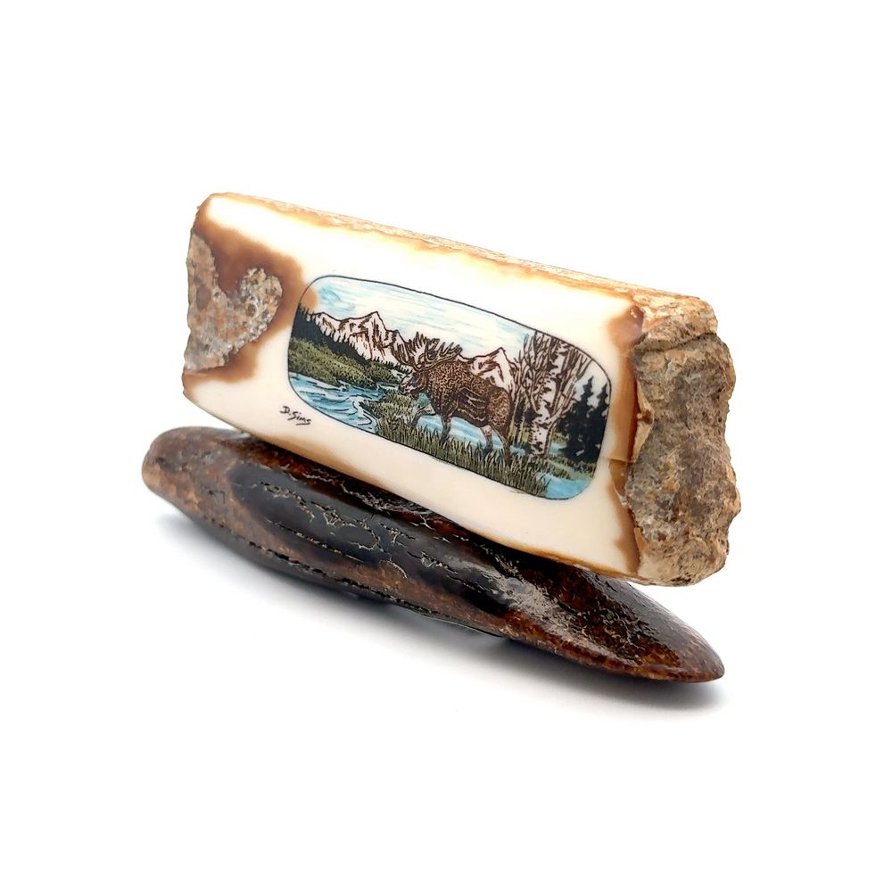 Walking Moose Scrimshaw Artwork Fossil Ivory, Alaska Mint