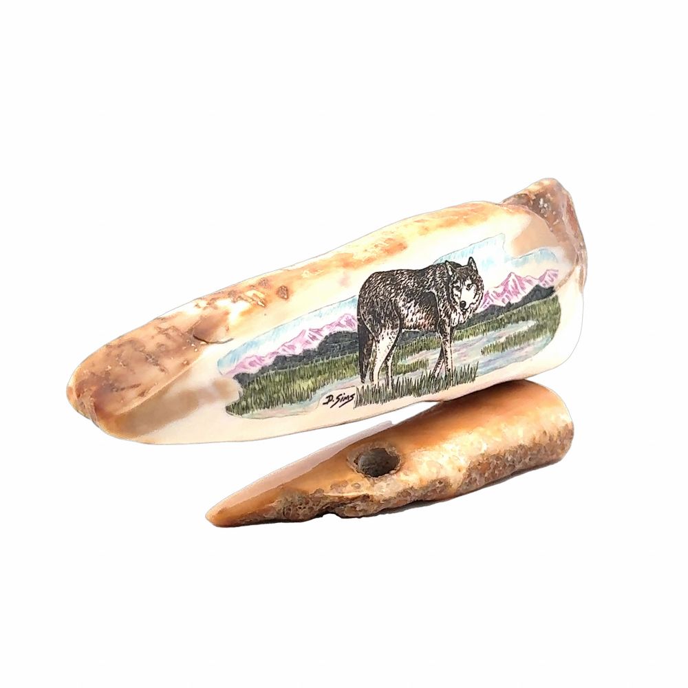 Walking Wolf Scrimshaw Artwork Fossil Ivory, Alaska Mint