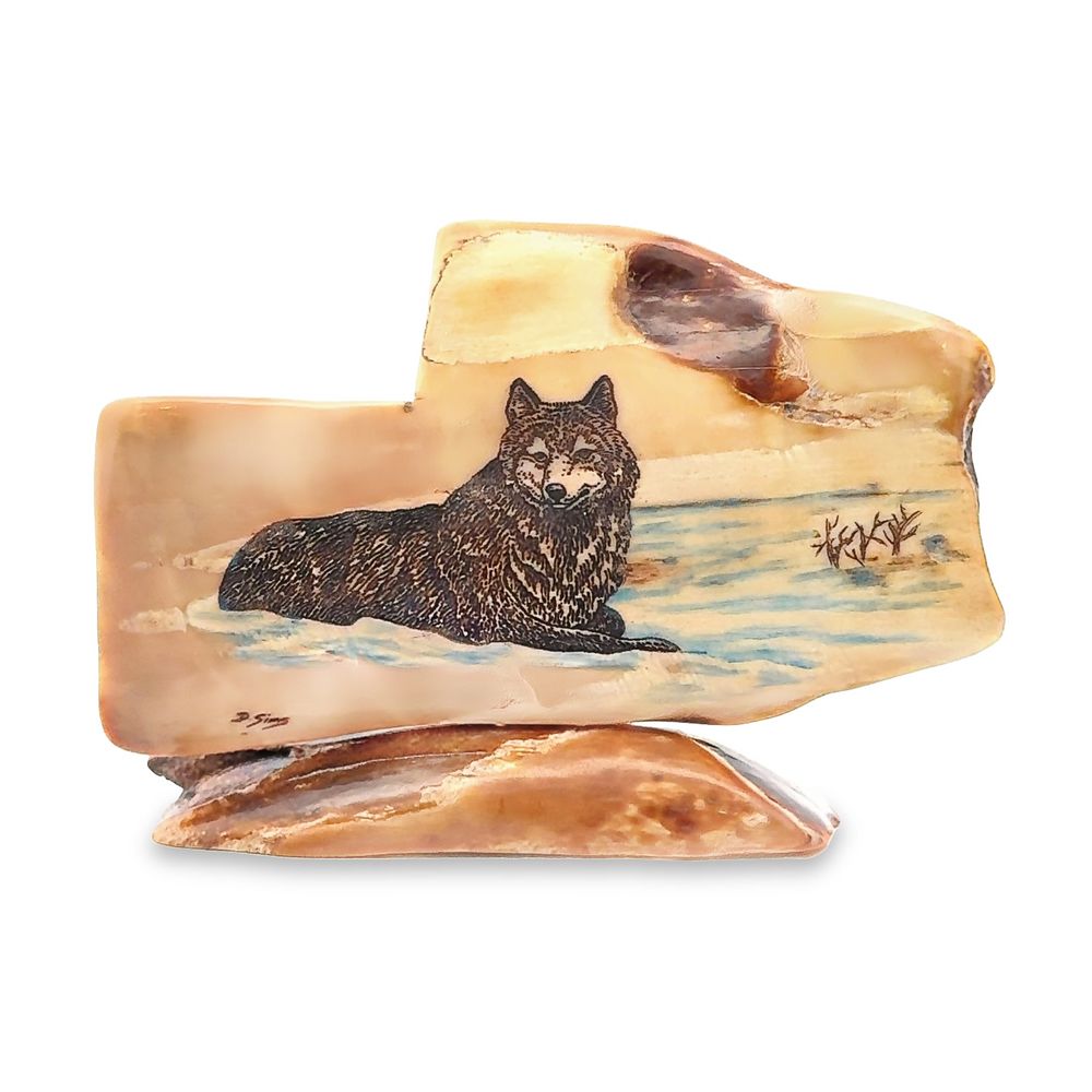 Laying Wolf Scrimshaw Artwork Fossil Ivory , Alaska Mint
