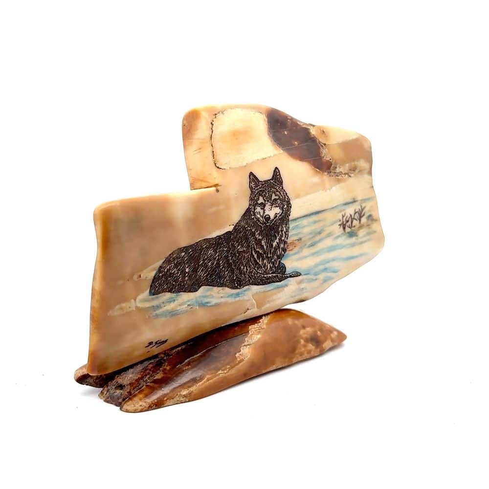 Laying Wolf Scrimshaw Artwork Fossil Ivory, Alaska Mint