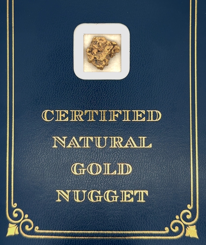 4.9 Gram Natural Gold Nugget from Valdez Creek, Alaska