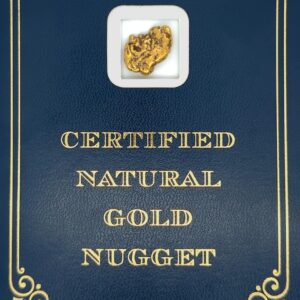 6.8 Gram Natural Gold Nugget from Hunter Creek, Alaska