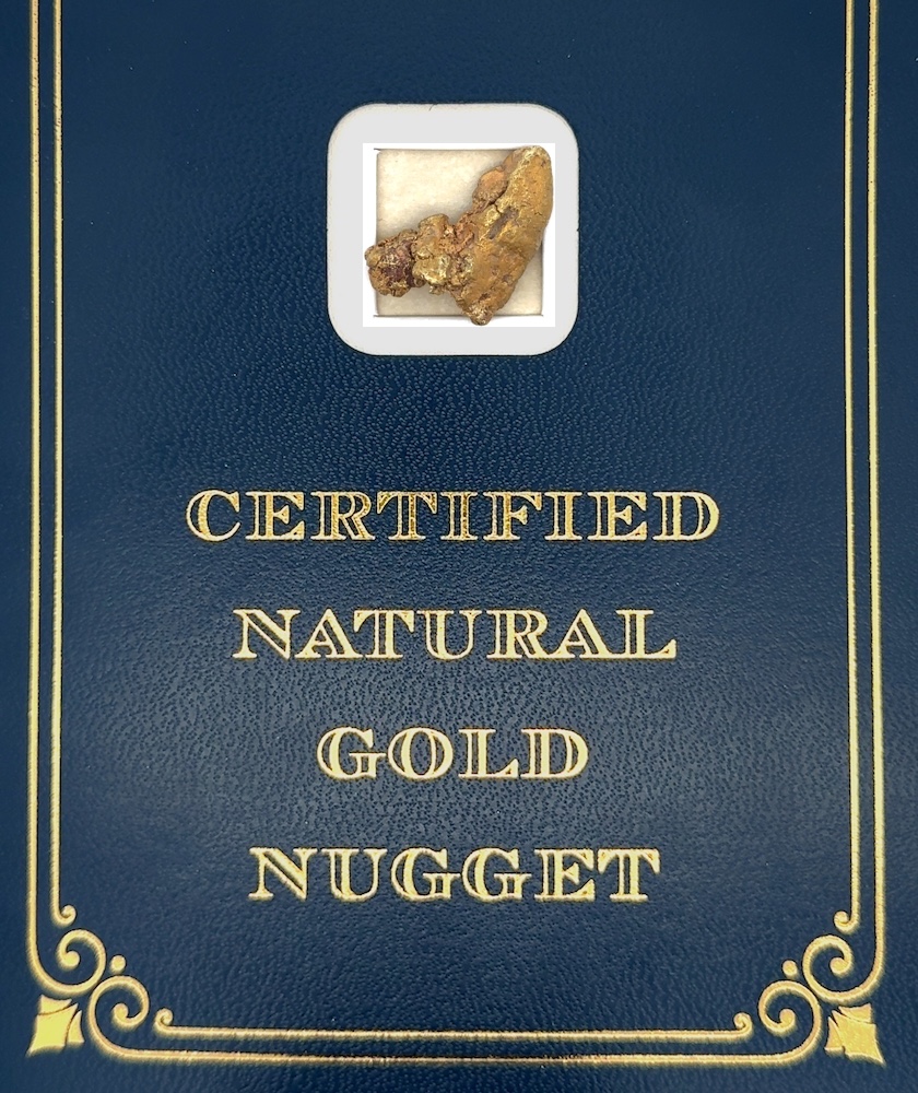 7.8 Gram Natural Gold Nugget from Coldfoot, Alaska