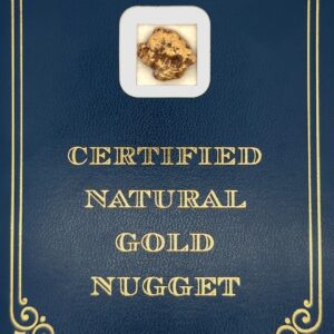 7.9 Gram Natural Gold Nugget from Hunter Creek, Alaska