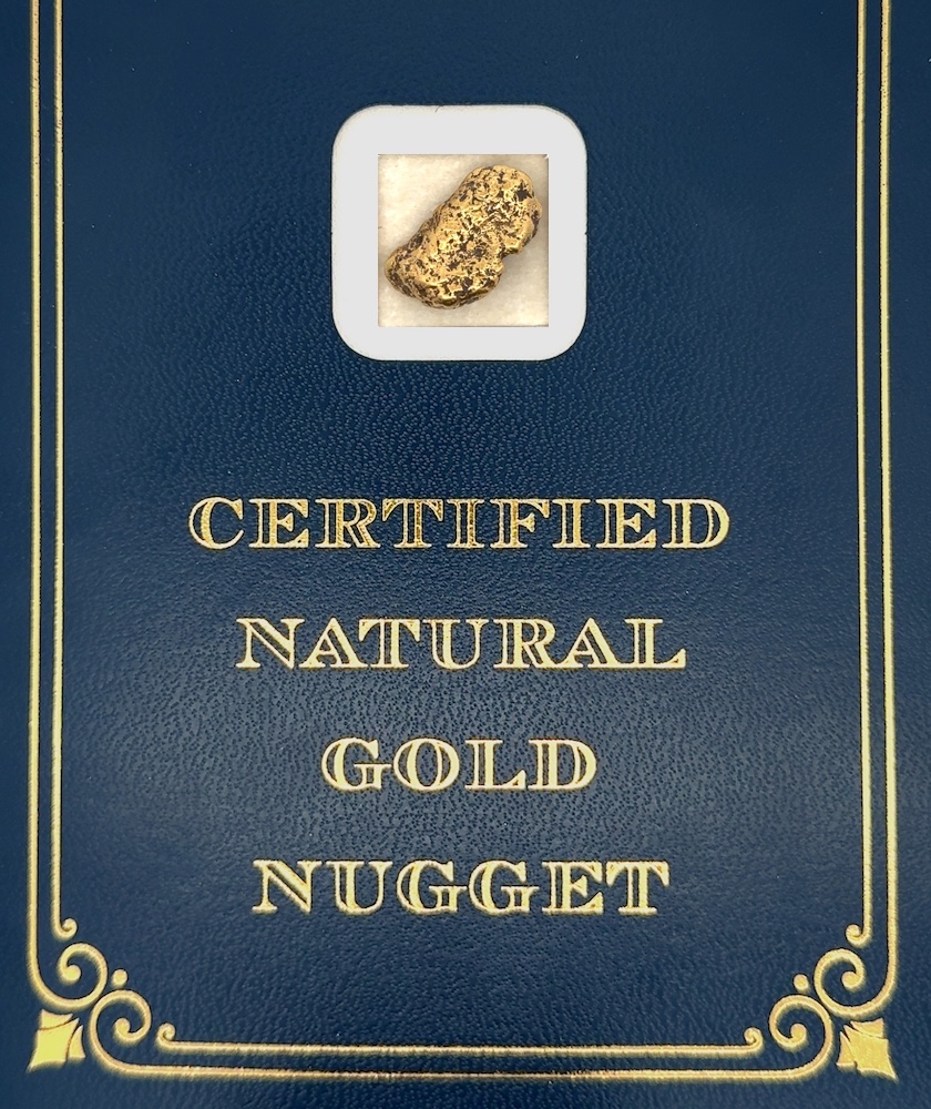 8.4 Gram Natural Gold Nugget from Hunter Creek, Alaska