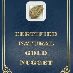 8.7 Gram Natural Gold Nugget from Coldfoot, Alaska