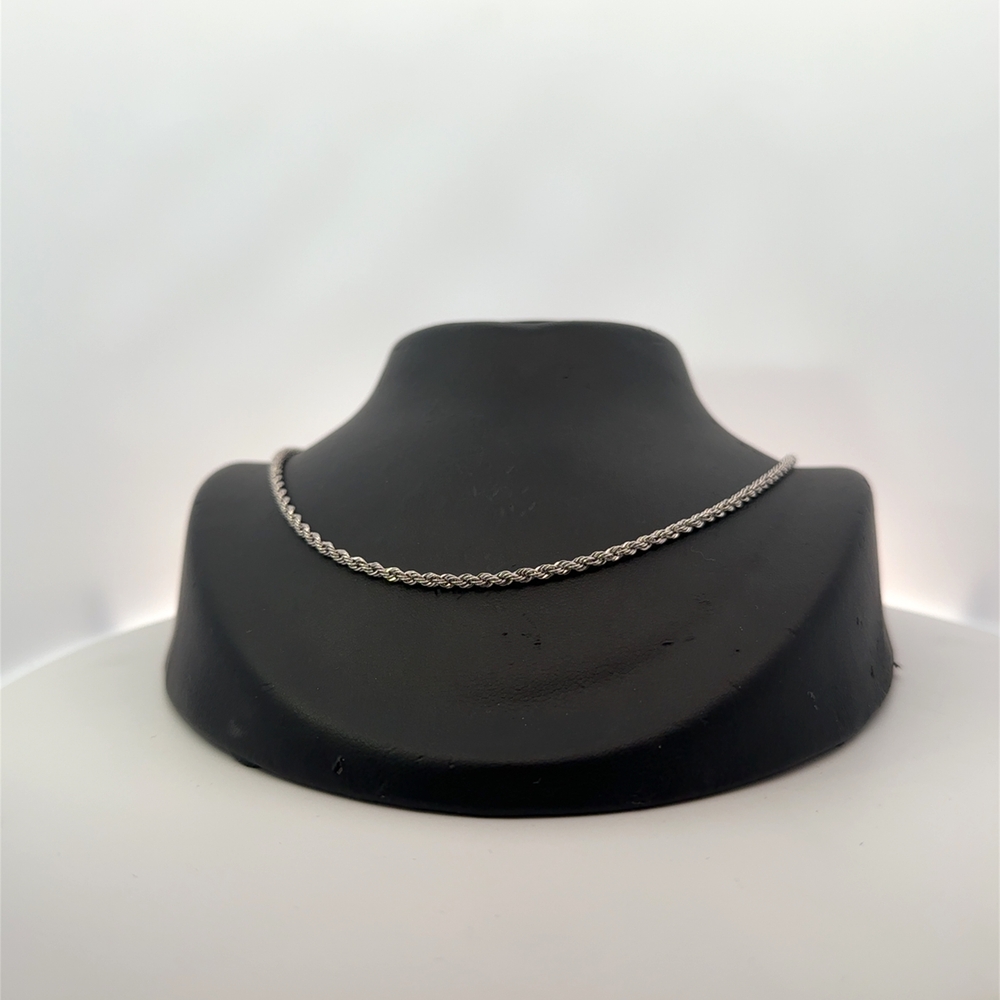 Platinum 22" Rope Chain 530164