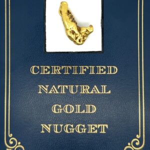10.5 Gram Natural Gold Nugget from Hunter Creek, Alaska