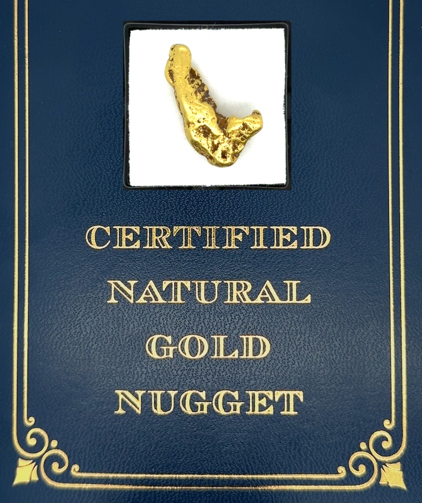10.5 Gram Natural Gold Nugget from Hunter Creek, Alaska