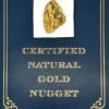 11.7 Gram Natural Gold Nugget from Hunter Creek, Alaska