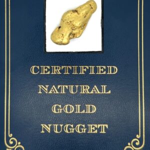 18.7 Gram Natural Gold Nugget from Hunter Creek, Alaska