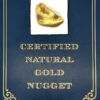 22.0 Gram Natural Gold Nugget from Hunter Creek, Alaska