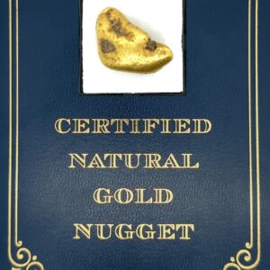 22.0 Gram Natural Gold Nugget from Hunter Creek, Alaska