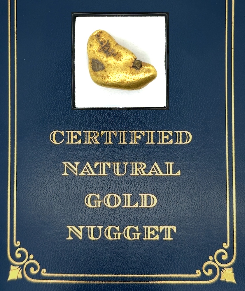 22.0 Gram Natural Gold Nugget from Hunter Creek, Alaska