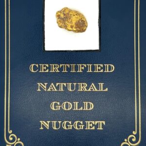 8.5 Gram Natural Gold Nugget from Hunter Creek, Alaska